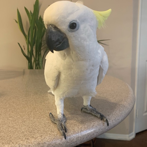 MTP - Picture 4 of 6